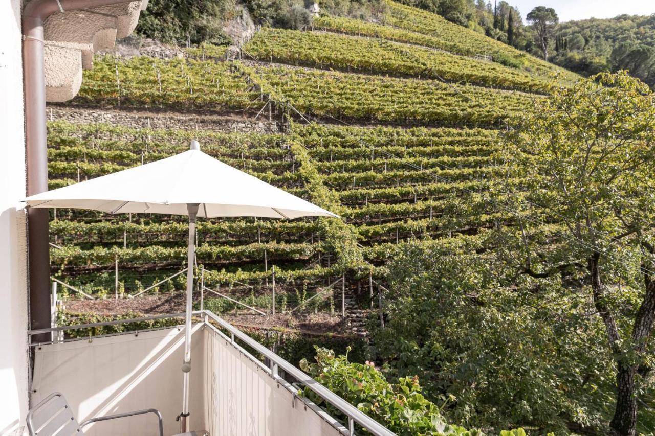 Der Ladurner Hof - Wohnen Am Weinberg Apartamento Merano Exterior foto