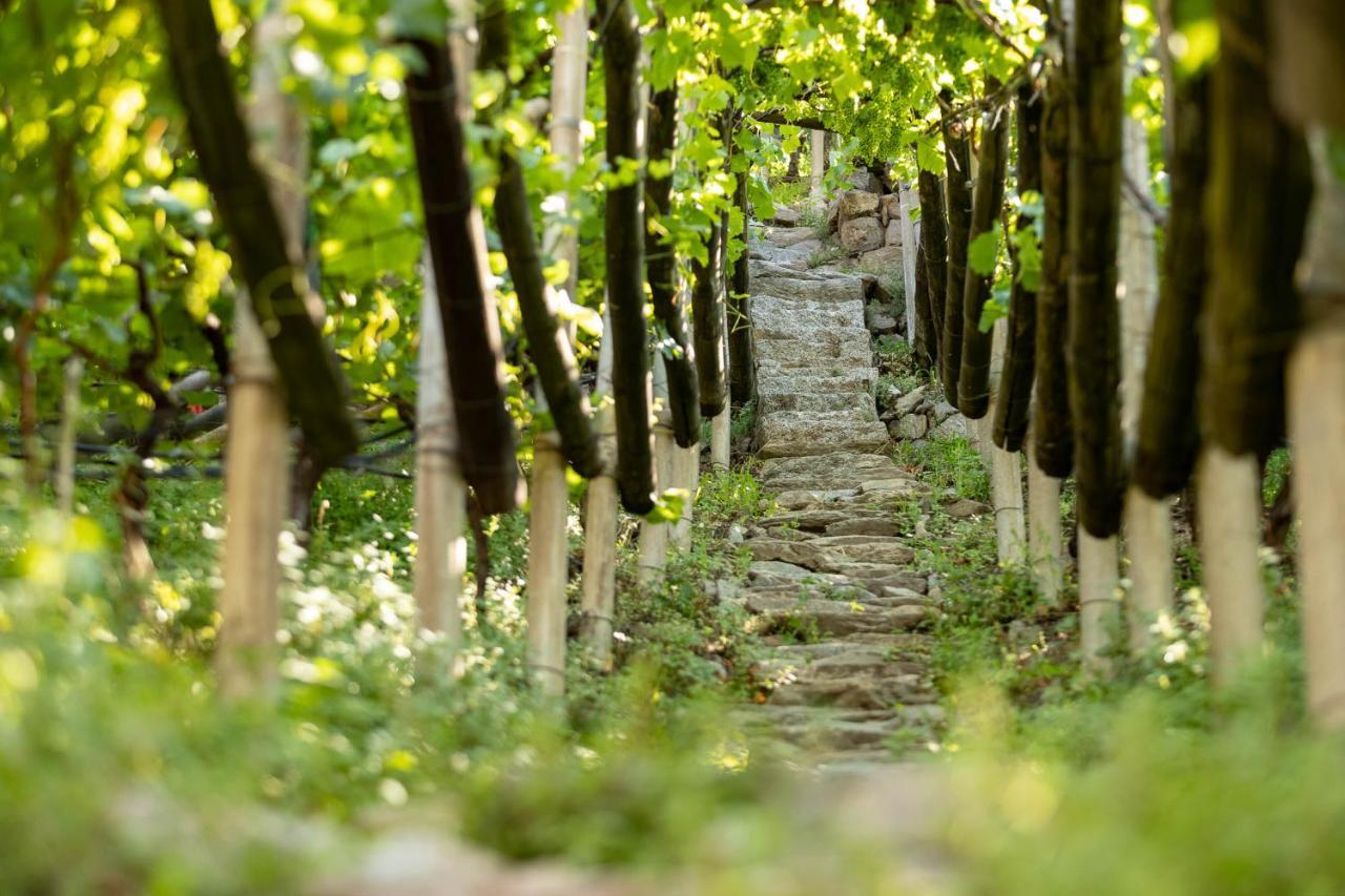 Der Ladurner Hof - Wohnen Am Weinberg Apartamento Merano Exterior foto